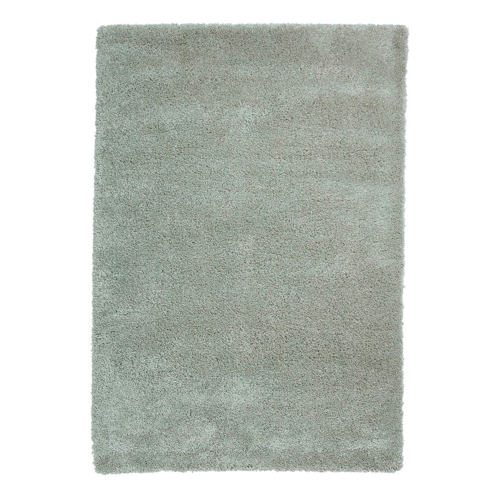 E-shop Pastelovozelený koberec Think Rugs Sierra, 120 x 170 cm