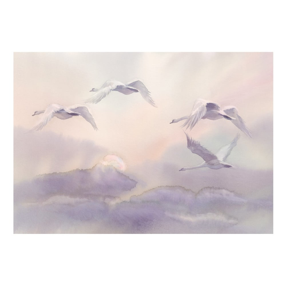 E-shop Veľkoformátová tapeta Artgeist Flying Swans, 400 x 280 cm
