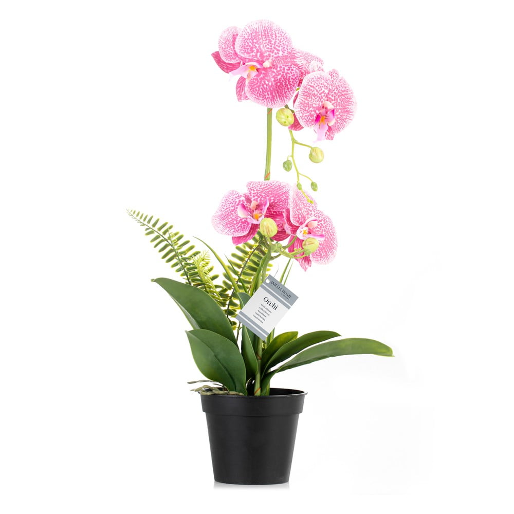 Umelý kvet (výška 55 cm) Orchid – AmeliaHome
