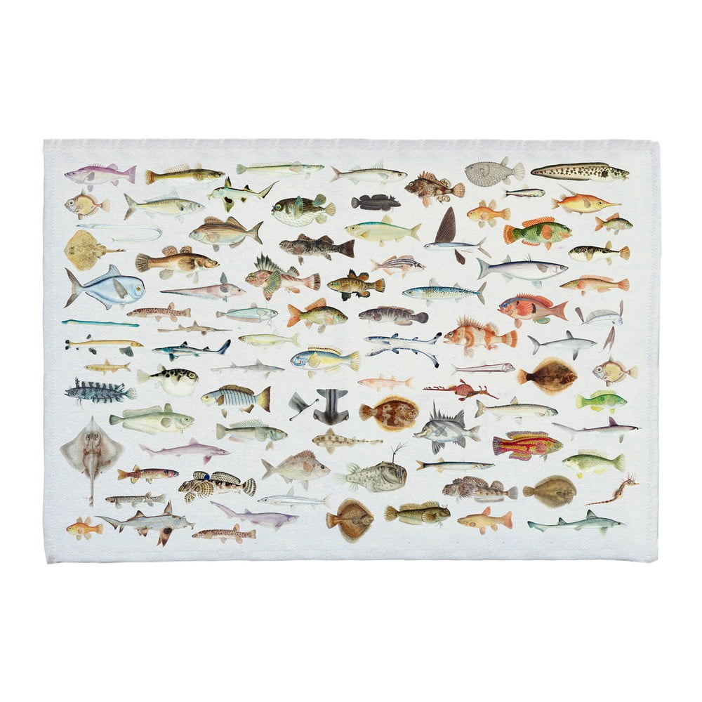 E-shop Kúpeľňová podložka s prímesou bavlny Really Nice Things Fish in the Ocean, 40 x 60 cm