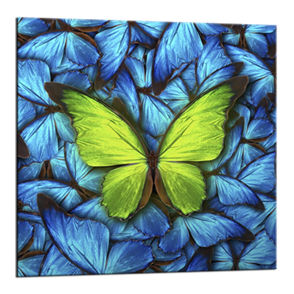 Obrázok Obraz Styler Glasspik Blue Butterfly, 20 × 20 cm