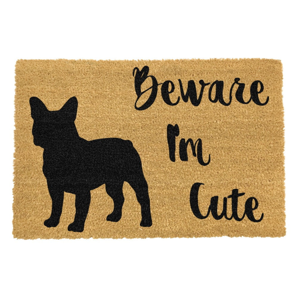 Obrázok Rohožka Artsy Doormats Cute French, 40 × 60 cm