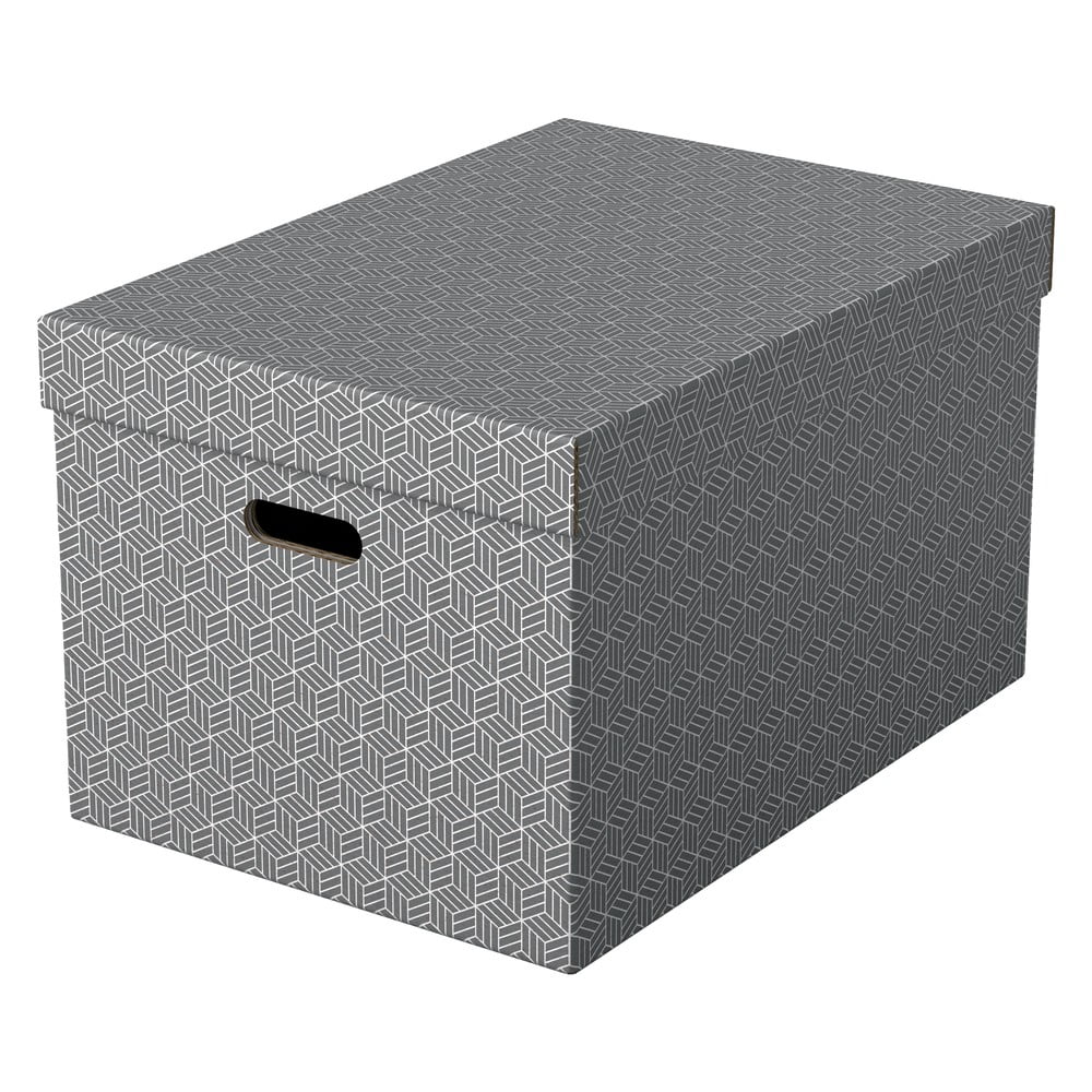 E-shop Súprava 3 sivých úložných škatúľ Esselte Home, 35,5 x 51 cm