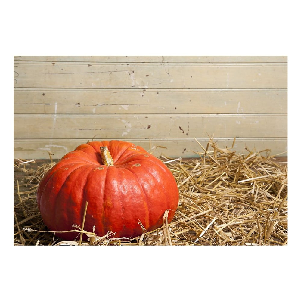 Obrázok Vinylový koberec Pumpkin, 52 × 75 cm