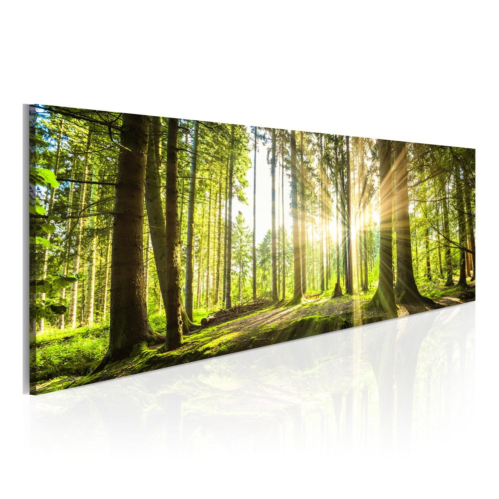 E-shop Obraz na plátne Bimago Daylight 135 × 45 cm