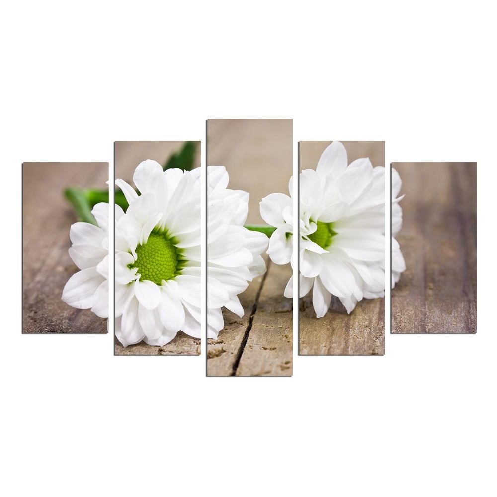 Obrázok Viacdielny nástenný obraz White Gerbera