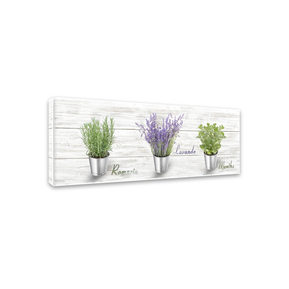 Obrázok Obraz Styler Canvas Shabby Herbs, 27 × 75 cm