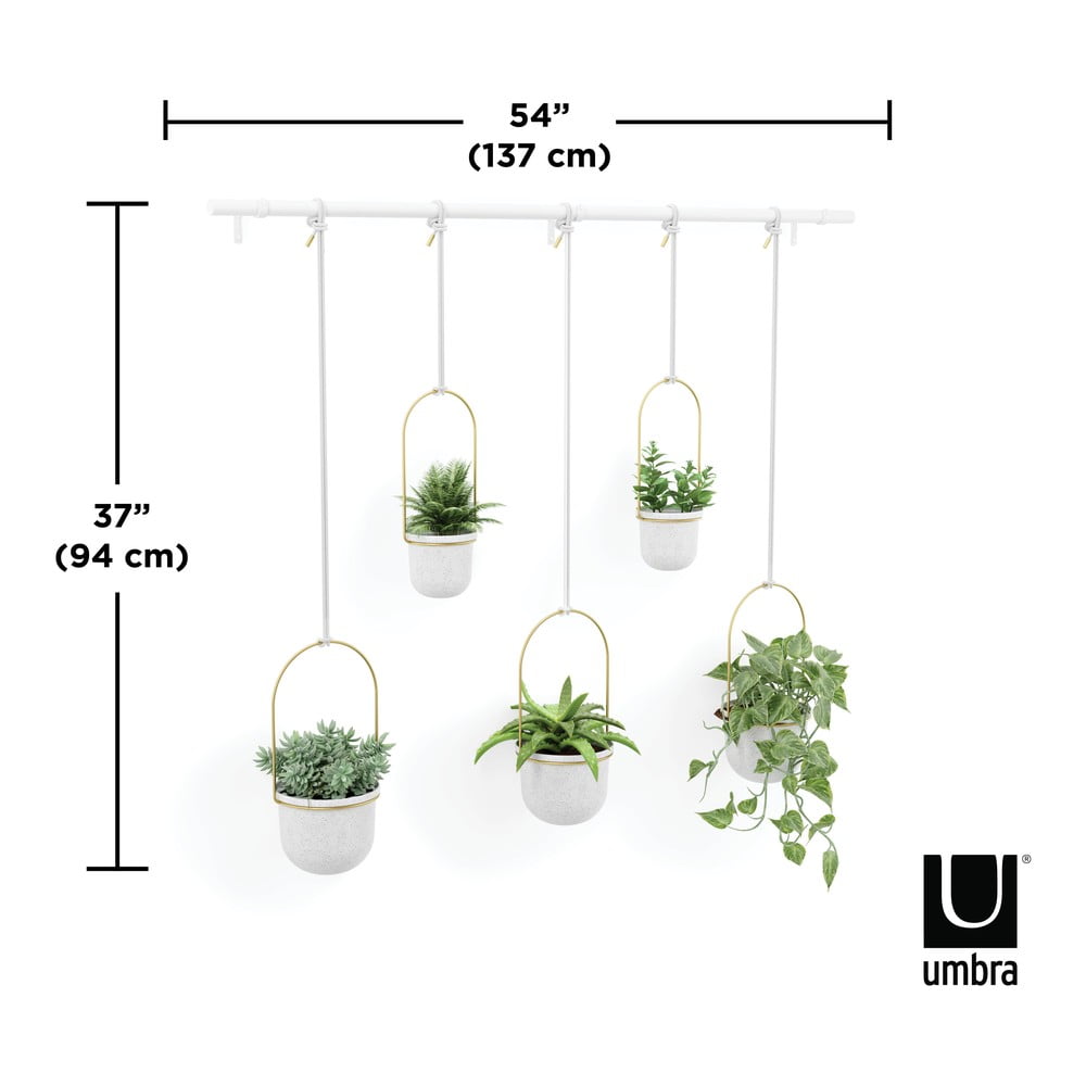 Plastový obal na kvetináč 5 ks  na bylinky/závesný a nástenný  ø 7,5 cm Triflora – Umbra