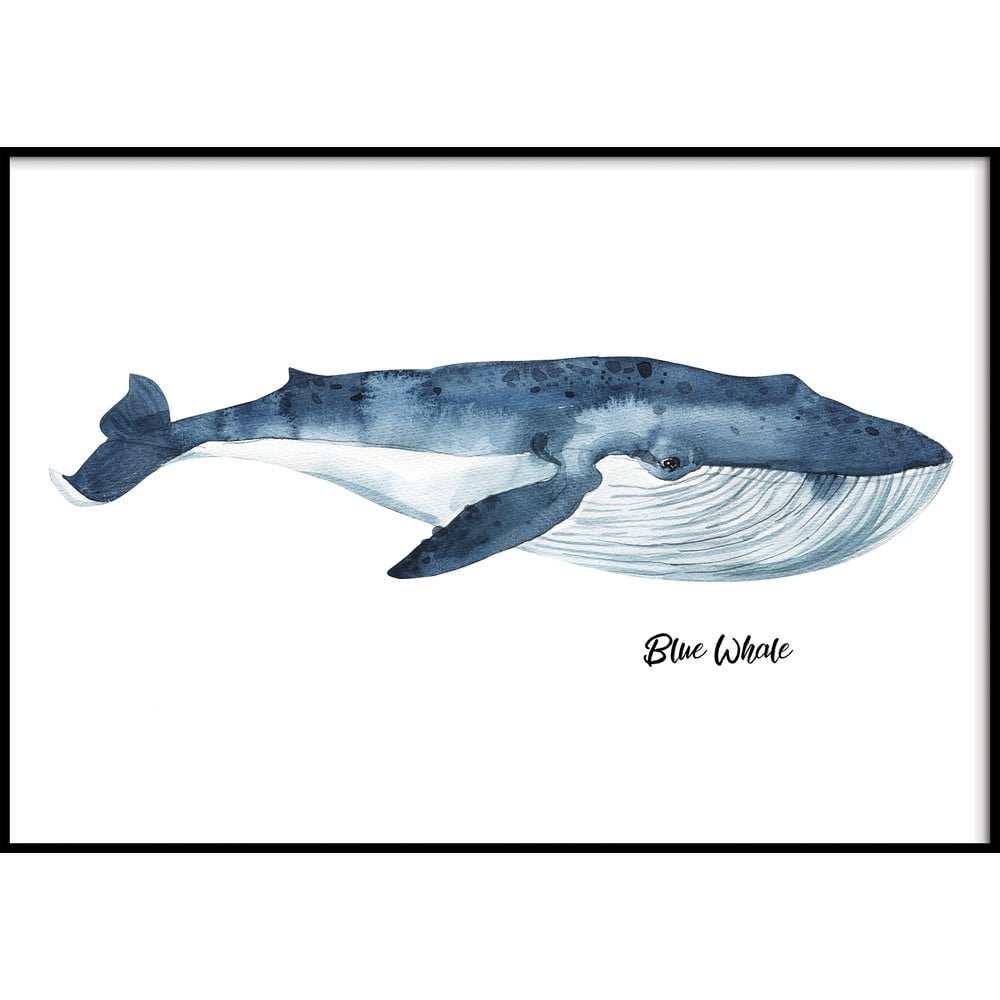 Obrázok Nástenný obraz BLUE/WHALE, 50 x 70 cm