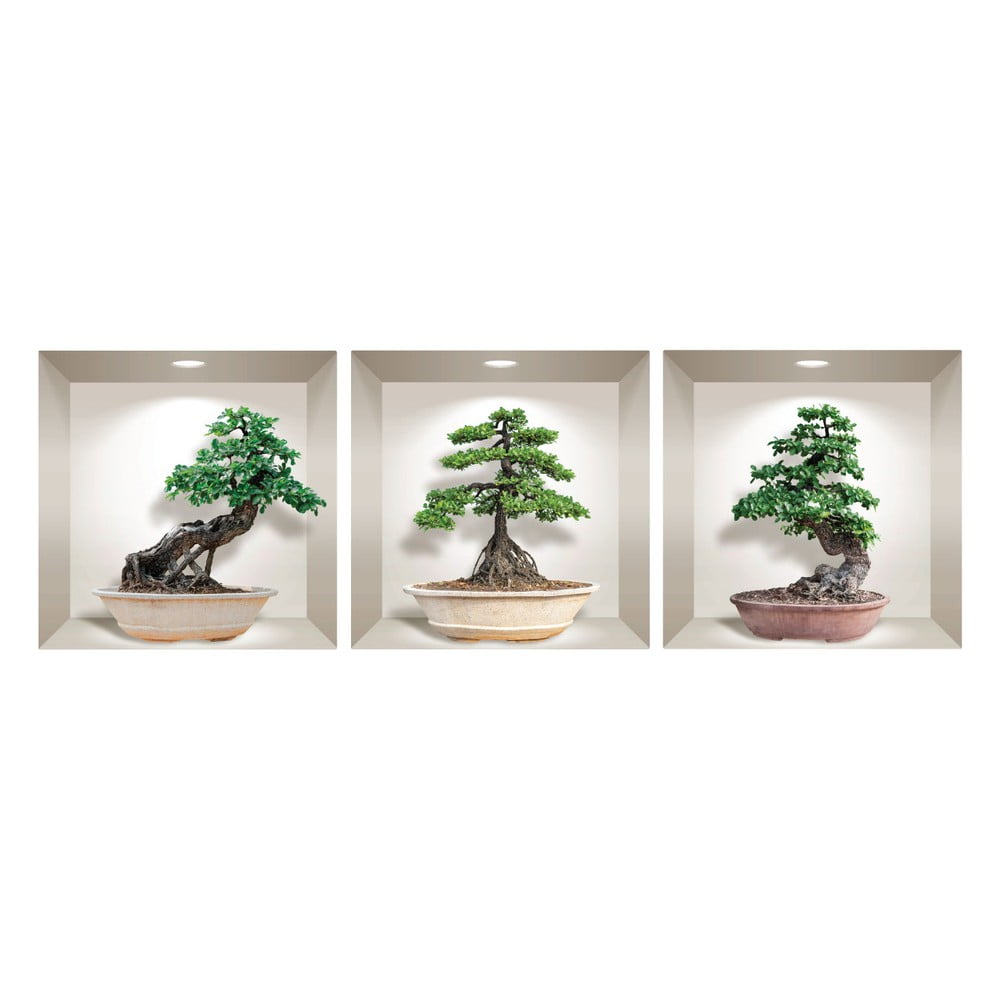 Obrázok Sada 3 3D samolepiek na stenu Ambiance Ginseng Bonsai