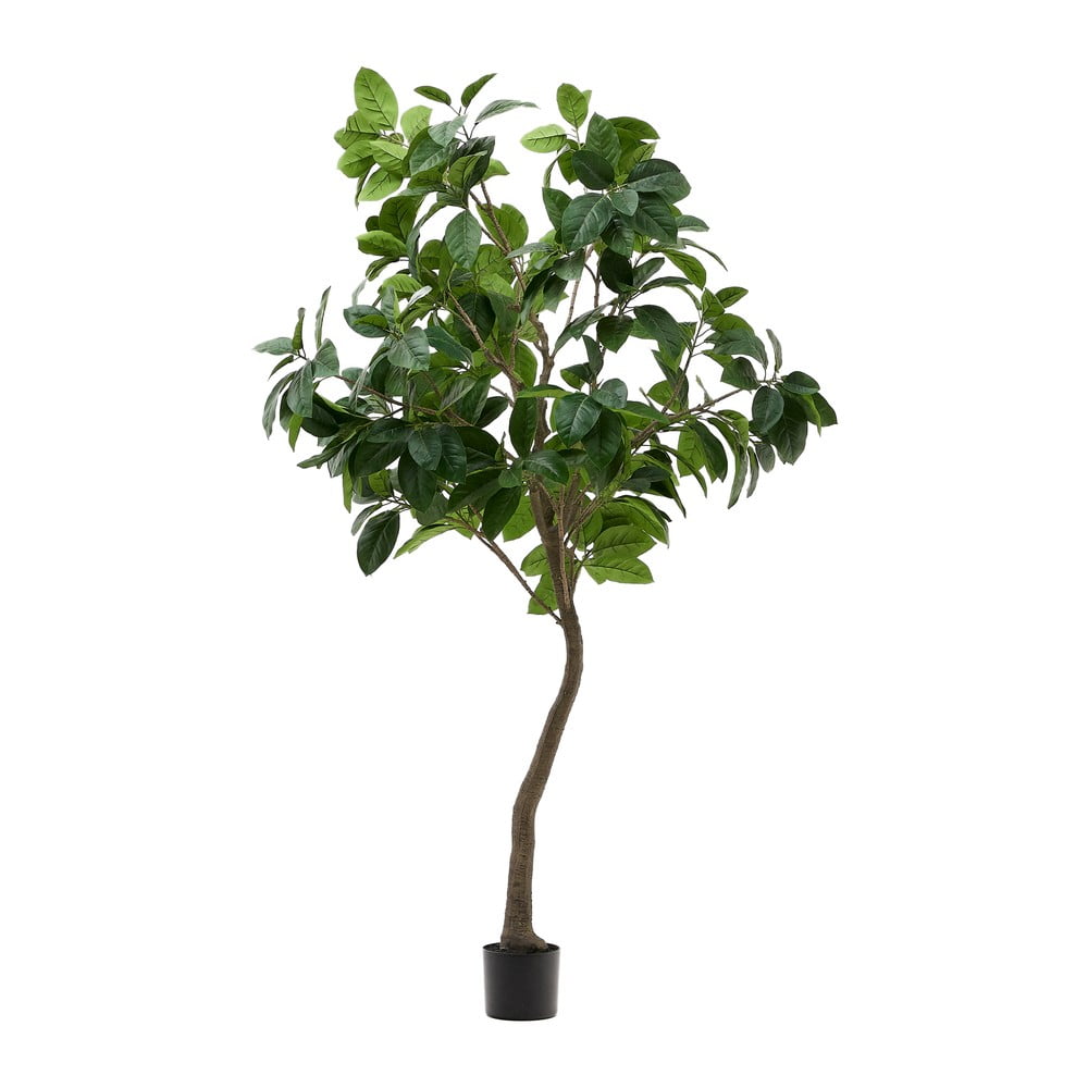 Umelý fikus (výška  210 cm) Ficus – Kave Home