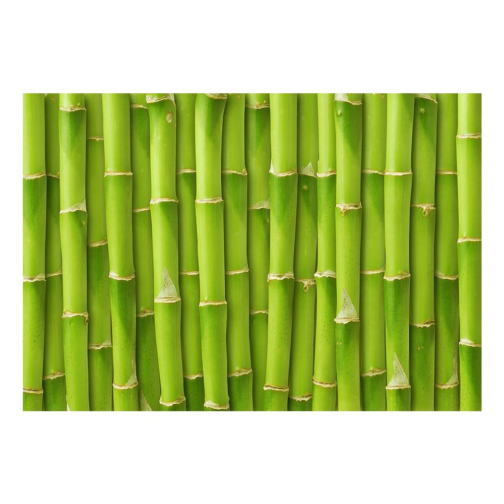 E-shop Vinylová predložka Bamboo, 52 × 75 cm