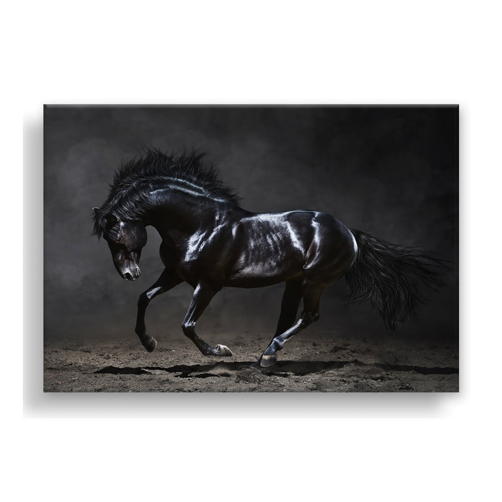 Obrázok Obraz Styler Canvas Silver Uno Horse, 85 × 113 cm