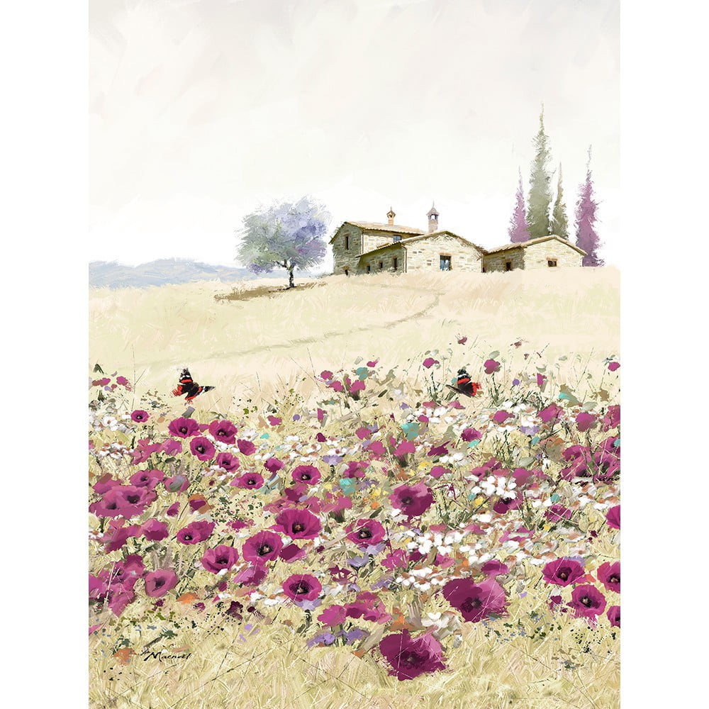 E-shop Obraz na plátne Styler Violet Poppies, 50 x 70 cm