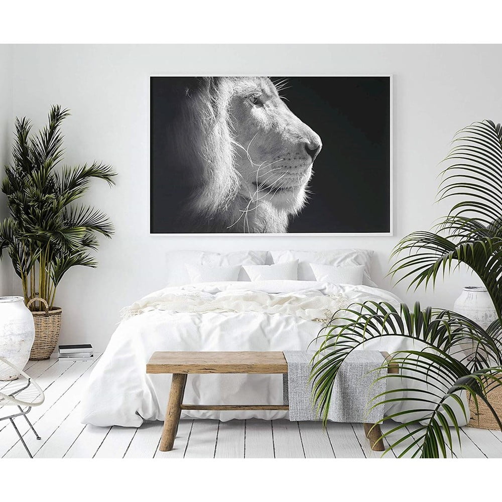 Obrázok Čierno-biely plagát DecoKing Lion King, 100 x 70 cm